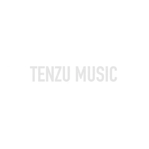 برند IK Multimedia تنزوشاپ