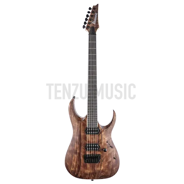 گیتار الکتریک Ibanez RGAIX6U