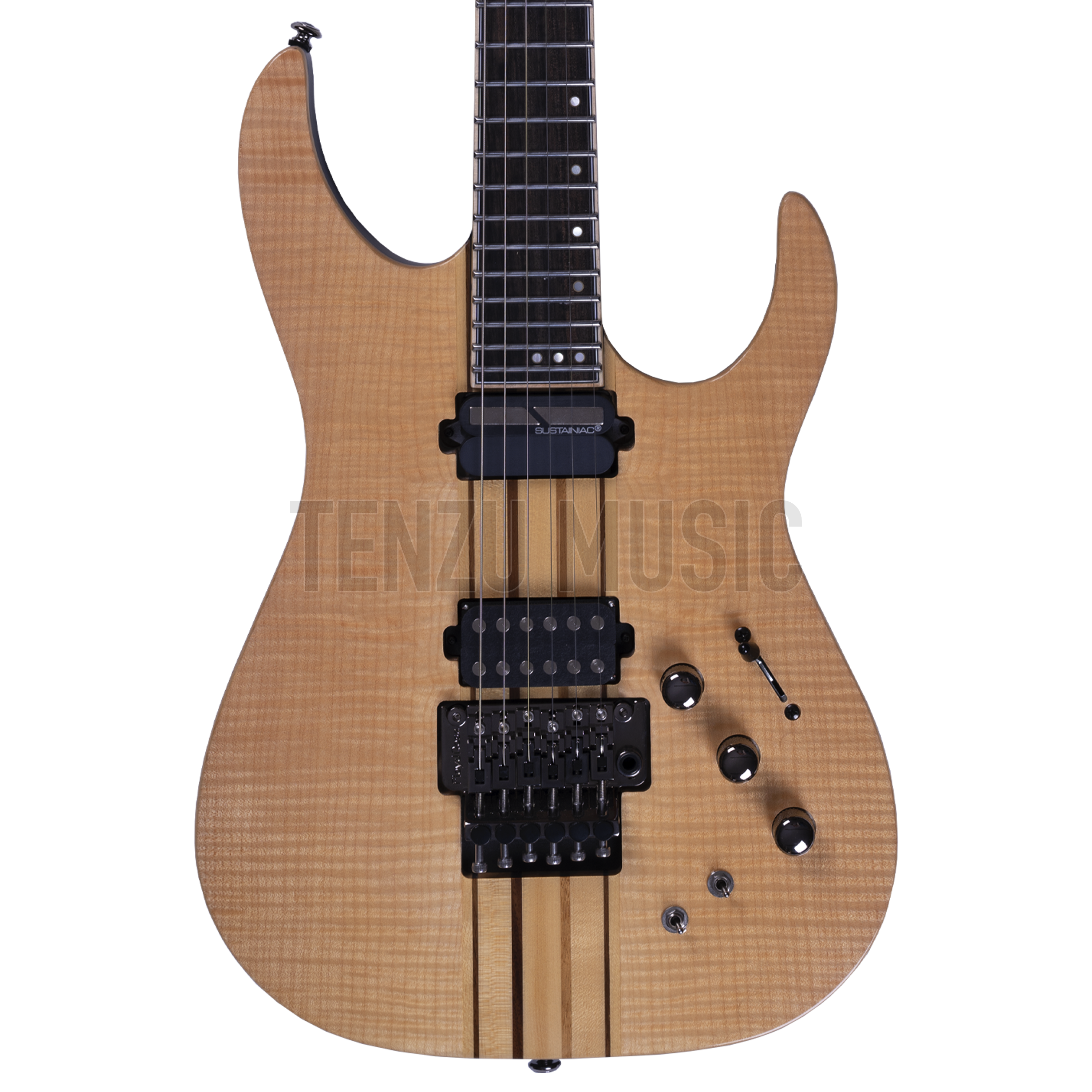 گیتار الکتریک Schecter Banshee Elite 6