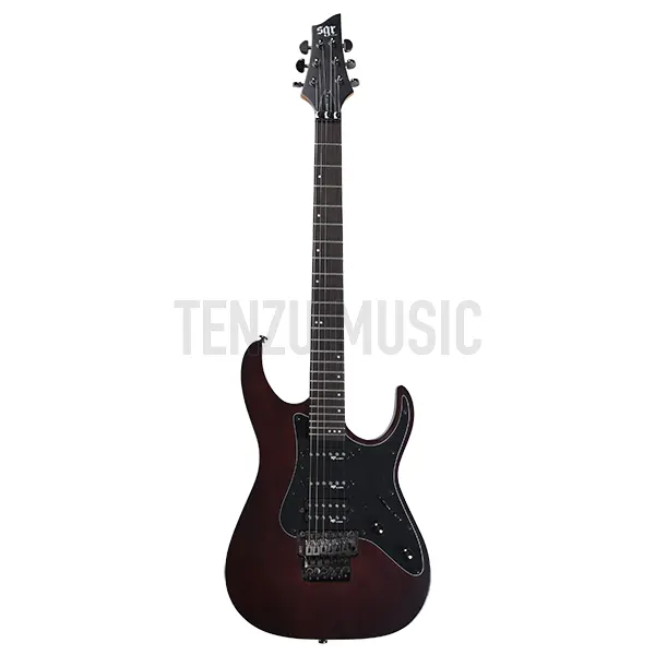 Schecter SGR Banshee 6 FR