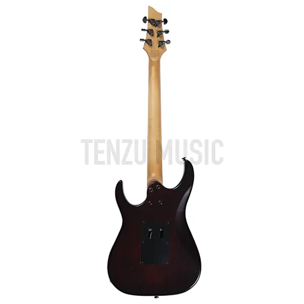 Schecter SGR Banshee 6 FR