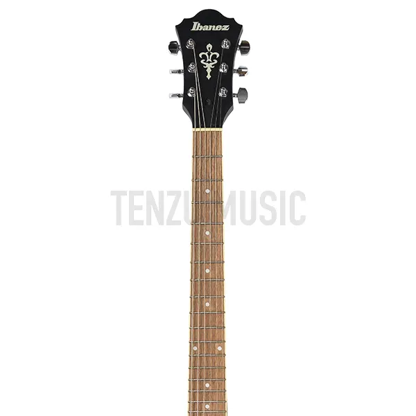 Ibanez AS53-TKF