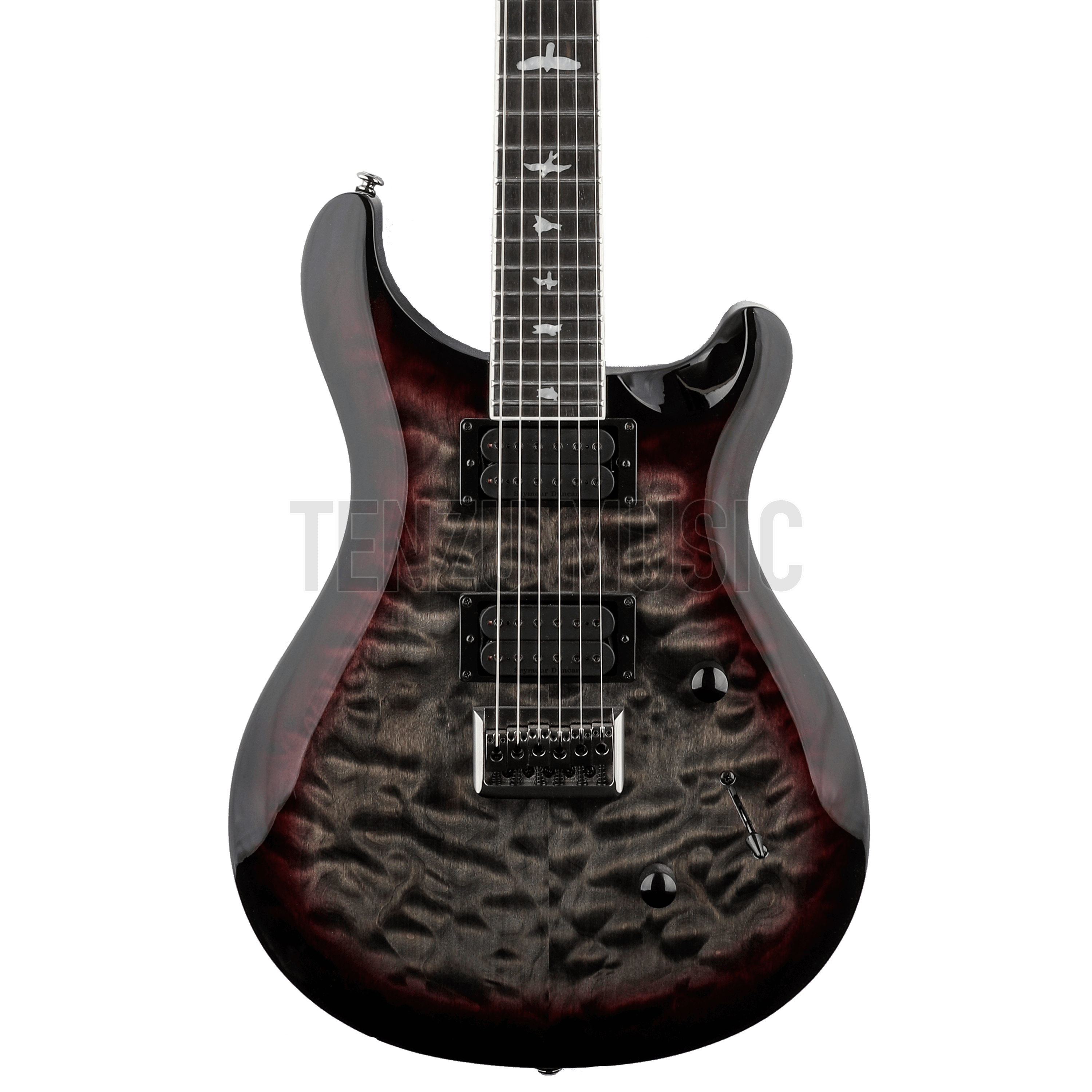 گیتار الکتریک SE Custom 24 Mark Holcomb